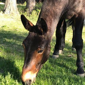 Meet your Posher, Niki